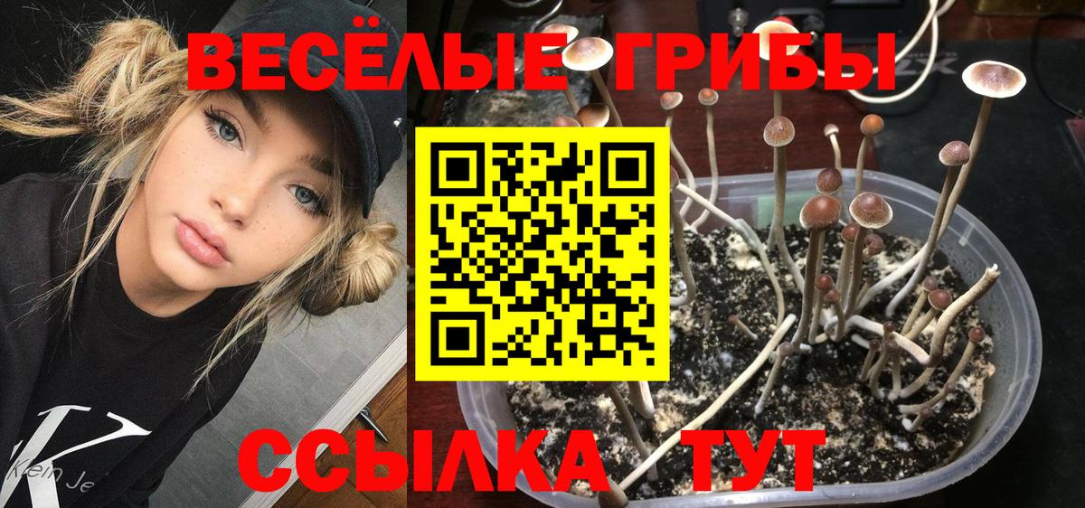Псилоцибиновые грибы мицелий Печора
