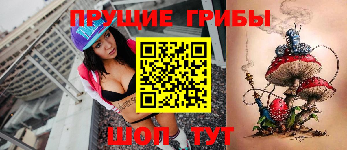 Псилоцибиновые грибы мицелий  Псилоцибиновые грибы Psilocybe  Печора  Вход с VPN 